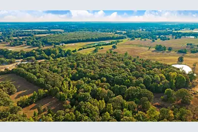 Tract A Cr 44400, Powderly, TX 75473 - Photo 11