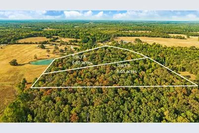 Tract B Cr 44400, Powderly, TX 75473 - Photo 3