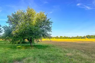 5201 Windmill Ln, Celina, TX 75009 - Photo 17