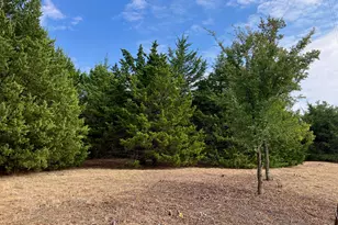 [Address not provided], Blue Ridge, TX 75424 - Photo 1