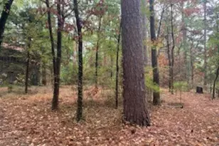 [Address not provided], Holly Lake Ranch, TX 75765 - Photo 3