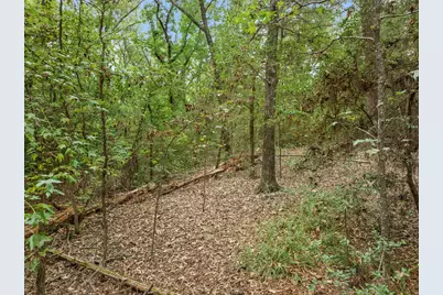 [Address not provided], Frankston, TX 75763 - Photo 15