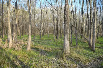 9781 S US Hwy 79 Highway, Palestine, TX 75801 - Photo 5
