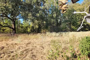 17109 FM195, Detroit, TX 75436 - Photo 33