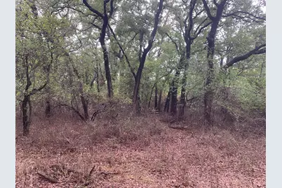 Lot3 Blk12 Lindsey Lane, Runaway Bay, TX 76426 - Photo 5