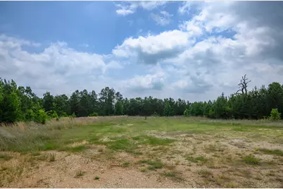 Tbd State Highway 64 #2, Ben Wheeler, TX 75754 - Photo 11