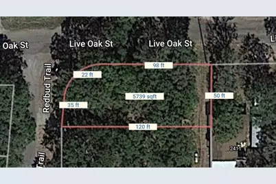 Tbd Live Oak Street, Quinlan, TX 75474 - Photo 3