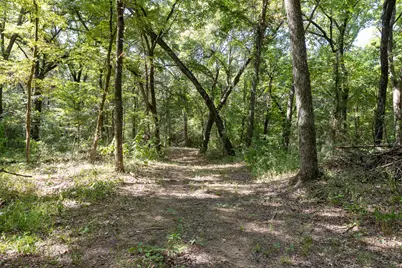 Tbd Richards Road, Sadler, TX 76264 - Photo 9