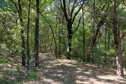 Tbd Richards Road, Sadler, TX 76264 - Photo 11