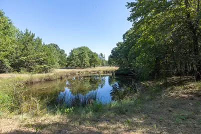 Tbd Richards Road, Sadler, TX 76264 - Photo 3