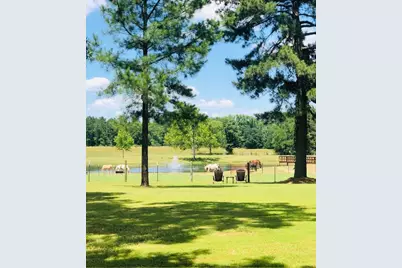 1644 County Road 4730, Winnsboro, TX 75494 - Photo 19