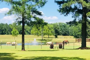 1644 Co Rd 4730, Winnsboro, TX 75494 - Photo 19