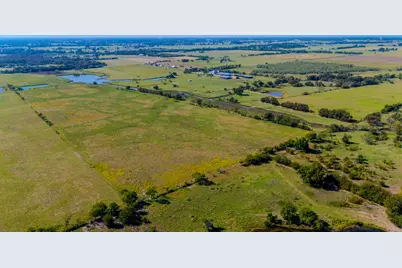 55 Acres Fm 455, Pilot Point, TX 76258 - Photo 5