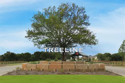 8709 Treeline Parkway, Justin, TX 76247 - Photo 13