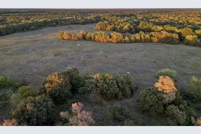 Tbd Rs County Road 4310, Point, TX 75472 - Photo 1