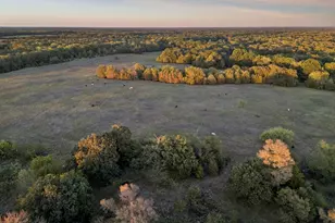 Tbd Rs County Road 4310, Point, TX 75472 - Photo 1
