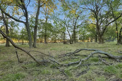 Tbd Rs County Road 4310, Point, TX 75472 - Photo 19