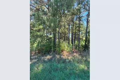 Lot 9 County Road 2922, Eustace, TX 75124 - Photo 5