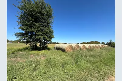 Lot 10 County Road 2922, Eustace, TX 75124 - Photo 1