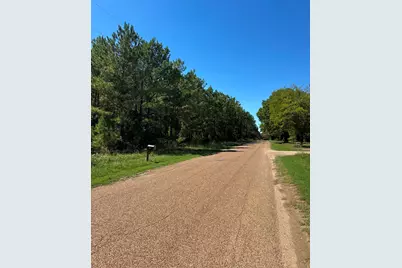 Lot 10 County Road 2922, Eustace, TX 75124 - Photo 3
