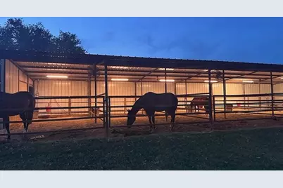8850 Old Agnes Road, Poolville, TX 76487 - Photo 19