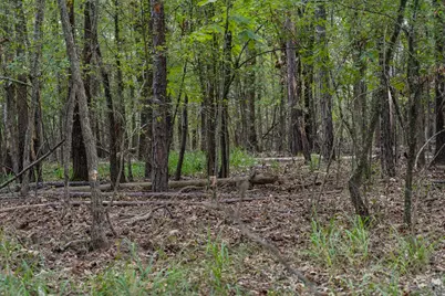 Tbd County Road 2786 #1, Mineola, TX 75773 - Photo 31