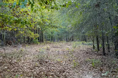 Tbd County Road 2786 #1, Mineola, TX 75773 - Photo 23