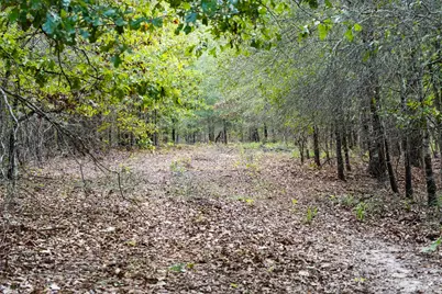 Tbd County Road 2786 #1, Mineola, TX 75773 - Photo 29
