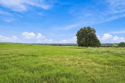 3688 N Fm 1655, Alvord, TX 76225 - Photo 29