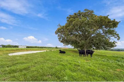 3688 N Fm 1655, Alvord, TX 76225 - Photo 35