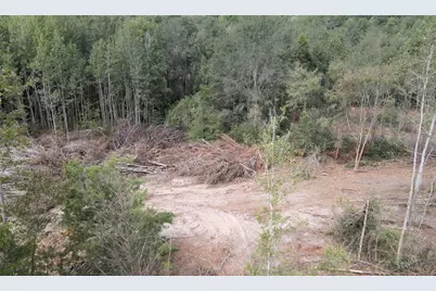 500 Uren Lee Road, Overton, TX 75684 - Photo 15