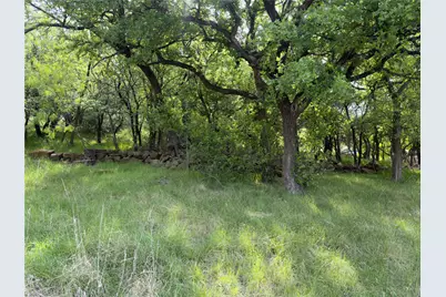 00 NE 9th Avenue, Mineral Wells, TX 76067 - Photo 9