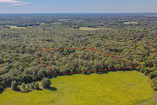 592 Rs County Road 1151, Emory, TX 75440 - Photo 33