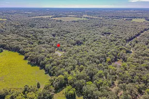 592 Rs County Road 1151, Emory, TX 75440 - Photo 37