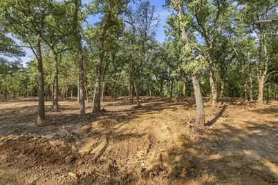 Tract 2 Prairie Grove Road, Valley View, TX 76272 - Photo 5