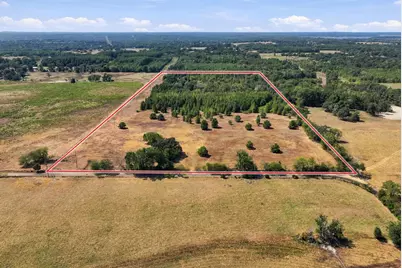 40.54Acres Tbd County Road 2314, Pittsburg, TX 75686 - Photo 5