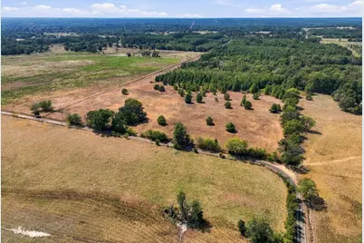 40.54Acres Tbd County Road 2314, Pittsburg, TX 75686 - Photo 3