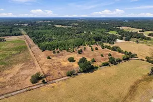 40 54Acres Tbd County Road 2314, Pittsburg, TX 75686 - Photo 1