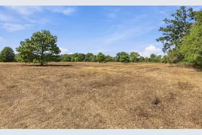40.54Acres Tbd County Road 2314, Pittsburg, TX 75686 - Photo 23