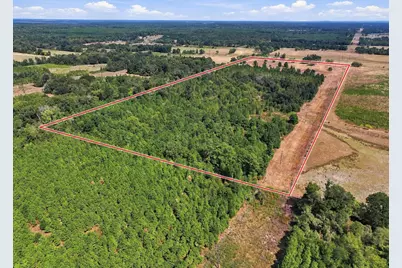 40.54Acres Tbd County Road 2314, Pittsburg, TX 75686 - Photo 13