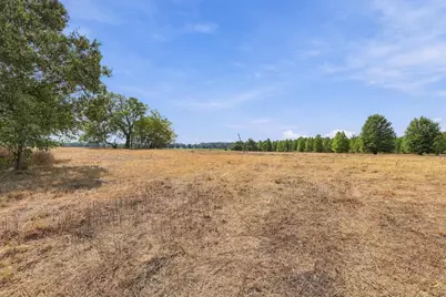 40.54Acres Tbd County Road 2314, Pittsburg, TX 75686 - Photo 25