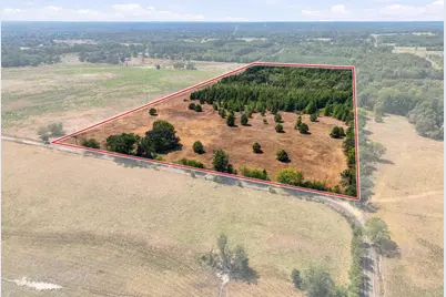 40.54Acres Tbd County Road 2314, Pittsburg, TX 75686 - Photo 7