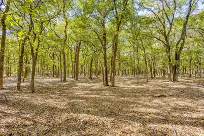 6201 E Fm 4, Grandview, TX 76050 - Photo 9