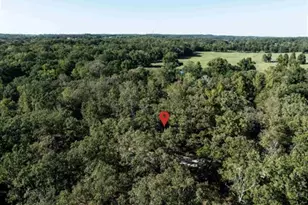 655 Dogwood Dr, Murchison, TX 75778 - Photo 25