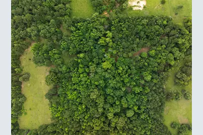 519 An County Rd 450, Palestine, TX 75803 - Photo 29