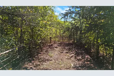 4669 Fm 1254, Mineola, TX 75773 - Photo 9