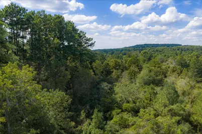20436 Fm 315, Palestine, TX 75803 - Photo 5