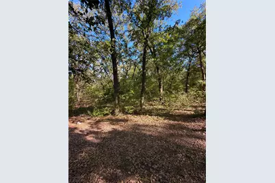 9460 Amy Drive, Hawk Cove, TX 75474 - Photo 33