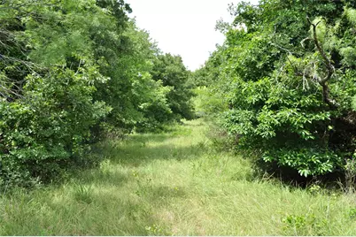 Tbd B Two Bush Road, Perrin, TX 76486 - Photo 15