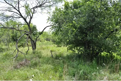 Tbd C Two Bush Road, Perrin, TX 76486 - Photo 31